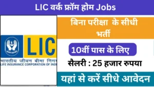 LIC Work From Home Job