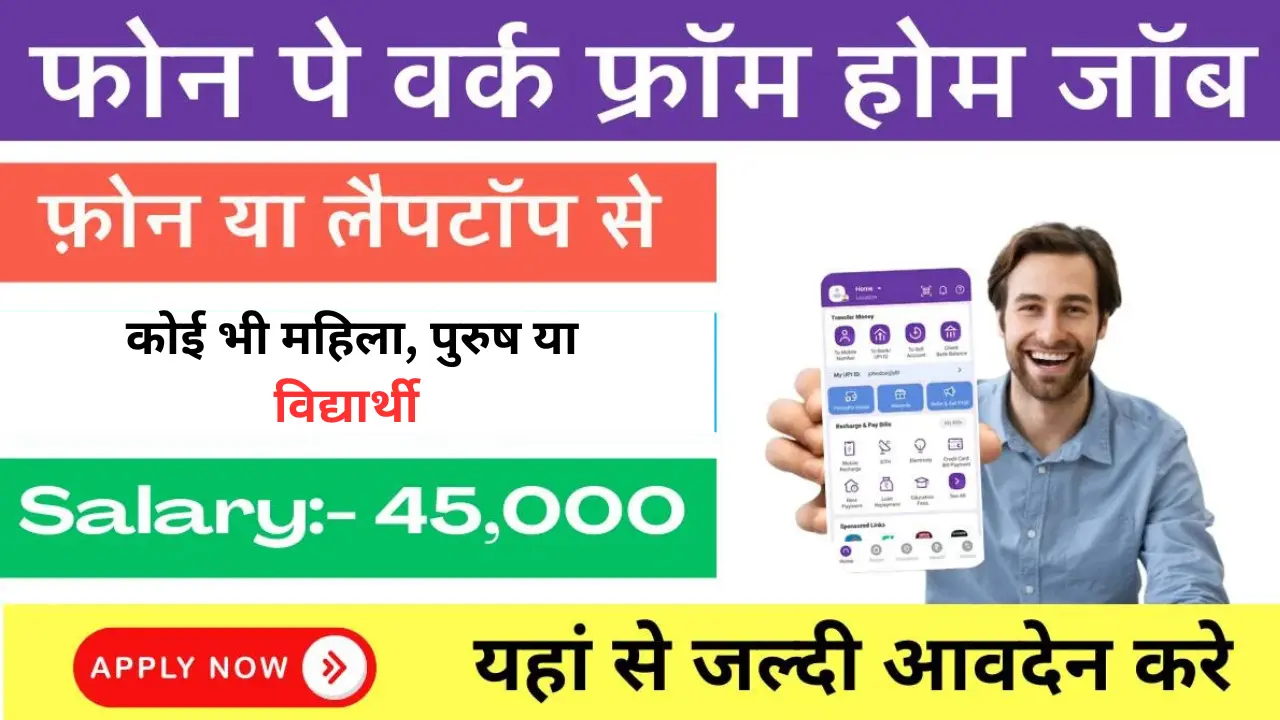 PhonePe Work From Home Job