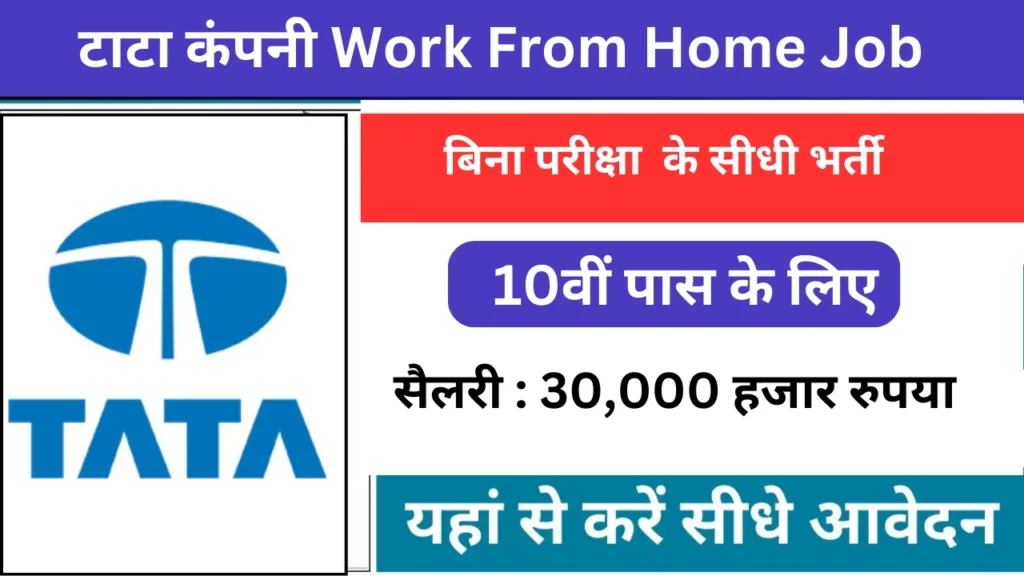 TCS Work From Home Job