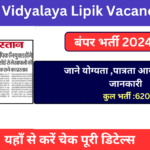 Bihar Vidyalaya Lipik Vacancy 2024